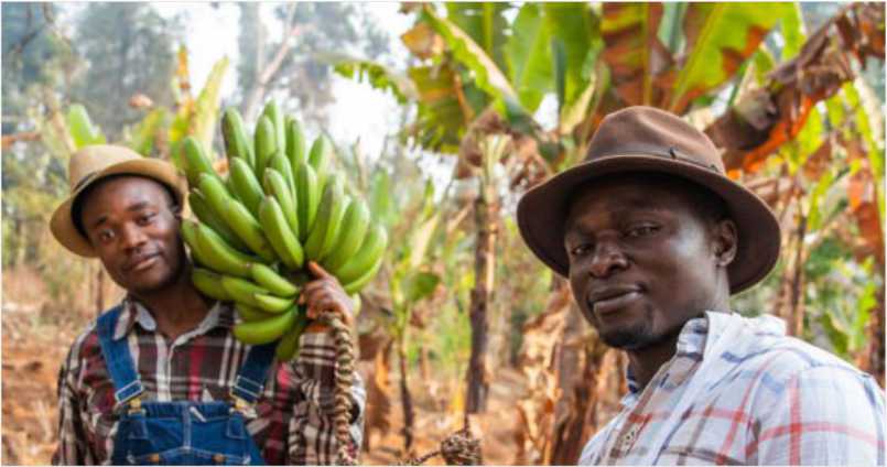 HarvestHUB Cooperative