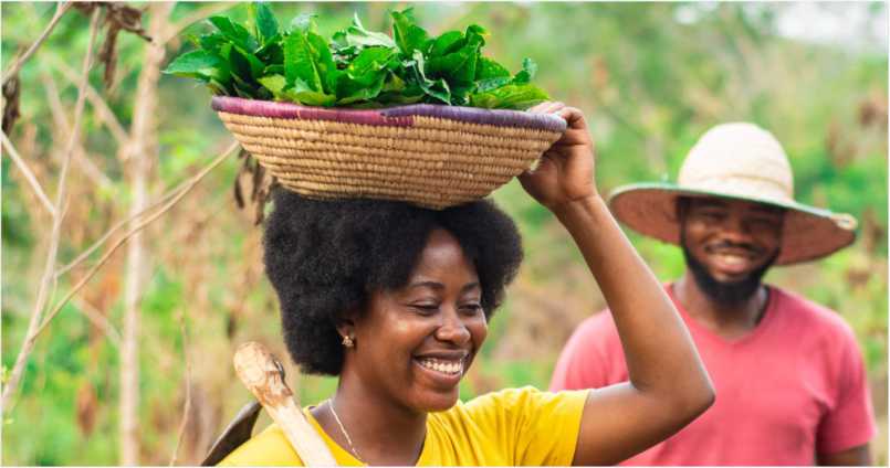 HarvestHUB Family Farm