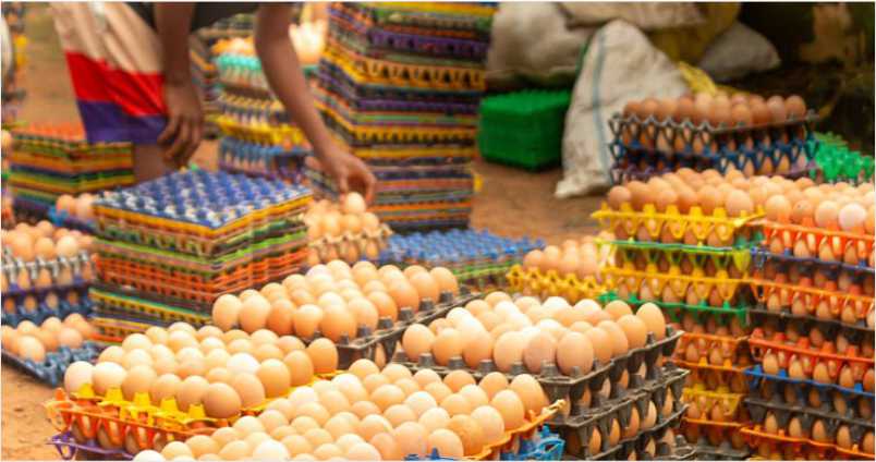 HarvestHUB Marketplace